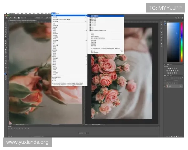 ps电子邮箱注册过程中遇到问题怎么办？完整解决方案和技巧分享